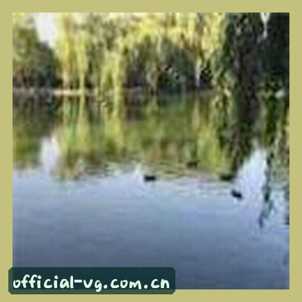 王总